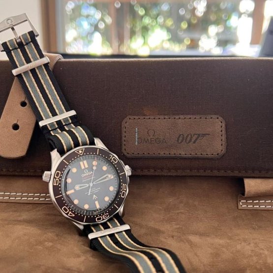 Omega-Seamaster-Diver-300-M-113