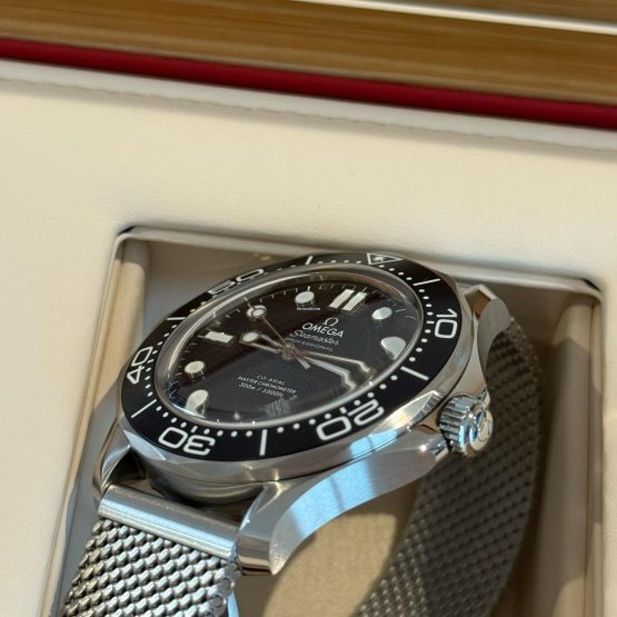 Omega-Seamaster-Diver-300-M-29