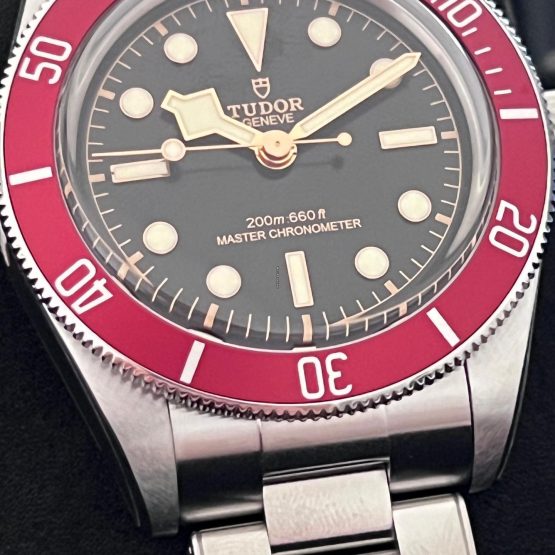 Tudor-Black-Bay-13