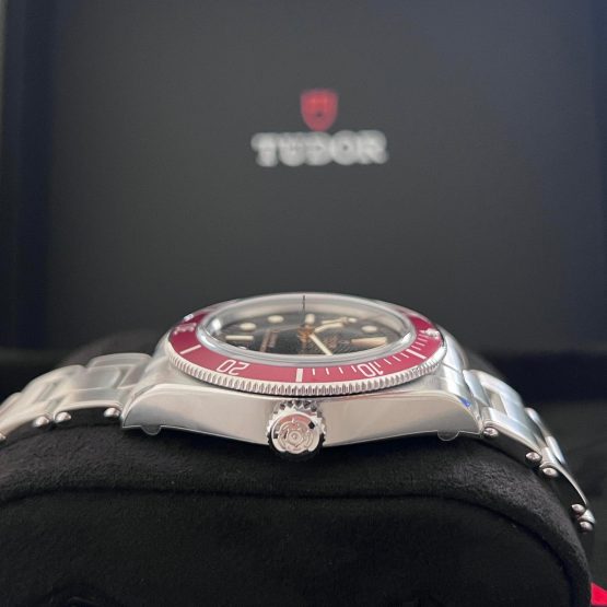 Tudor-Black-Bay-2