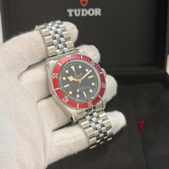Tudor-Black-Bay-2