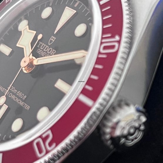 Tudor-Black-Bay-4