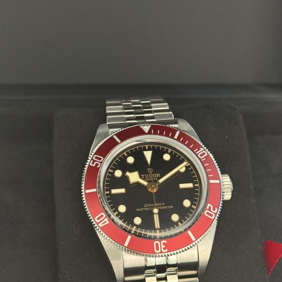 Tudor-Black-Bay-8